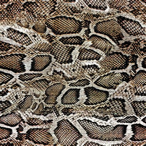 Snake Skin Seamless Vector Pattern 2496804 Vector Art At Vecteezy