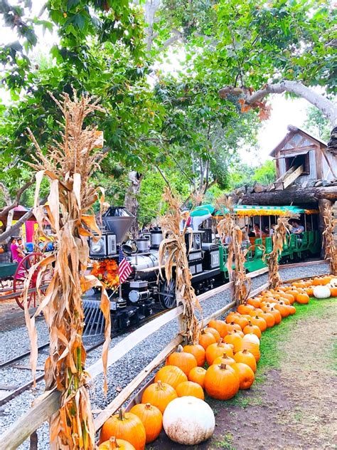 Irvine Park Railroad Pumpkin Patch prices for food, tickets and more!