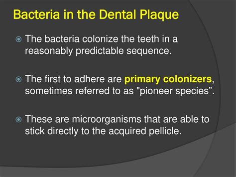 PPT - Dental plaque (bacteria biofilm ) - g enesis and structure ...