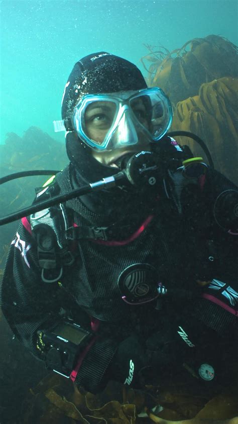 Farne Islands Diving Above 18m Gets The Seal Of Approval