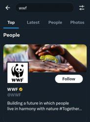 wwf meme templates imgflip