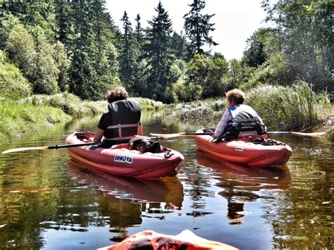 Kayaking Liberty Bay Poulsbo Washington Fish Park Arboretum And