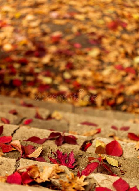 Het Bladdaling Van De Herfst Achtergrond Digitaal Art Rode En Gele