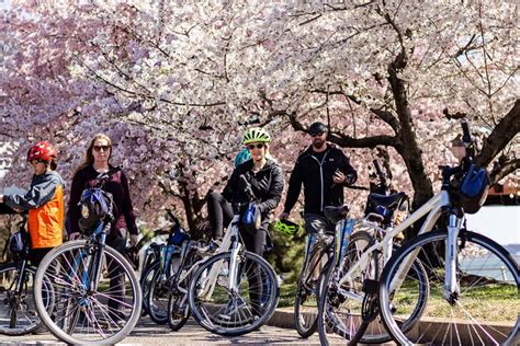 Tour en bicicleta por Washington DC DC en la floración de los cerezos