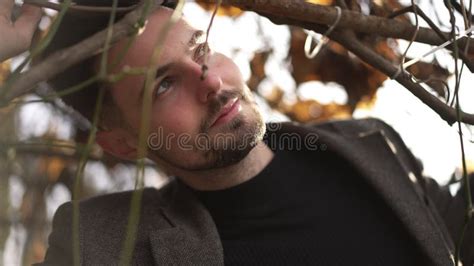 Handsome Brunette Man With Grey Eyes Looking Around Standing At Tree