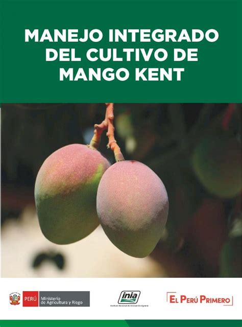 PDF MANUAL DE MANGO Manual MANEJO INTEGRADO DEL CULTIVO DE MANGO