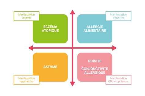 Comprendre La Dermatite Atopique Fondation Ecz Ma