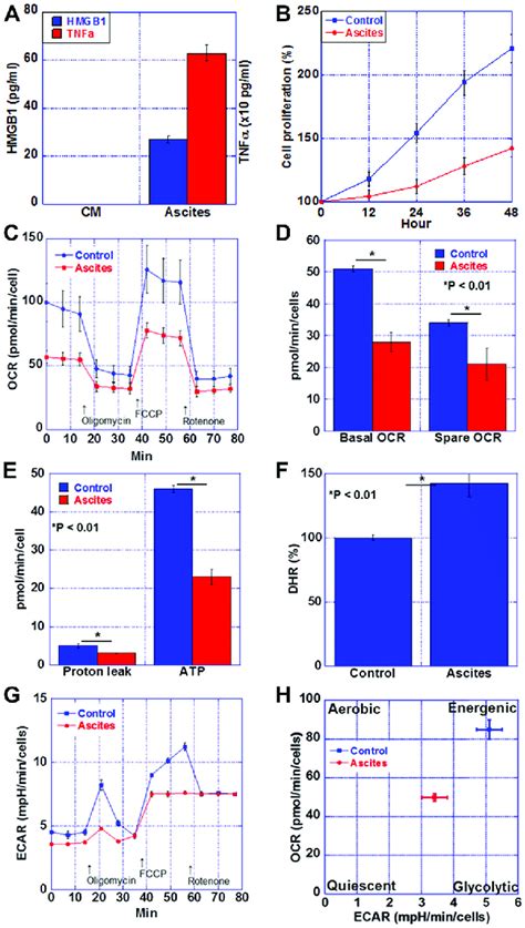 Energy Metabolism In The Myocardium Of Ct Inoculated Balb C Mice A