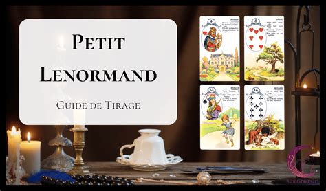 Prise De Courant Ailes Savant Le Petit Lenormand Association Anecdote