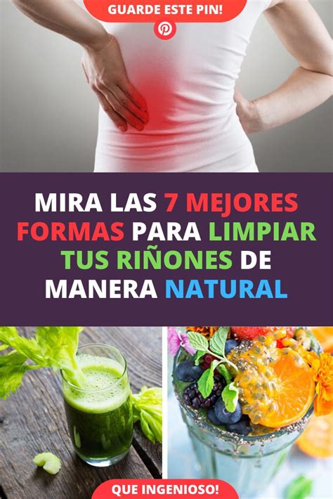 Mejores Hierbas Para La Limpieza Natural Del Ri N Salud De Los