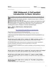 Dna Webquest A Self Guided Introduction To Basic Genetics Doc Name