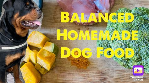 Balanced Homemade Dog Food Healthy Quick And Easy Must Try Youtube