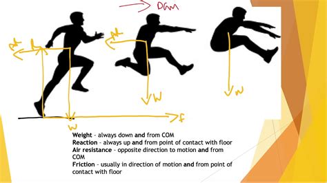 Force Diagram Of A Person Walking