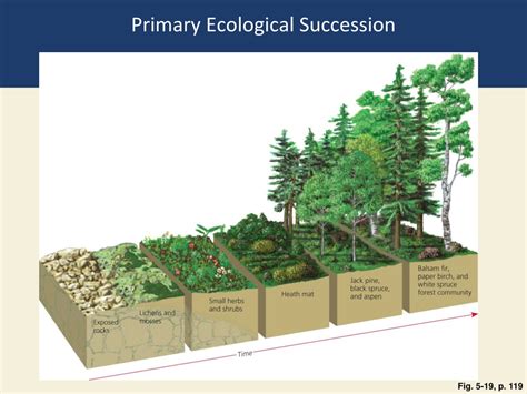 Ppt Chapter 5 Biodiversity Species Interactions And Population