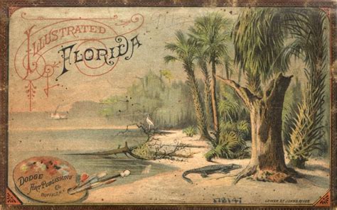 Illustrated Florida Florida Poster Old Florida Vintage Florida