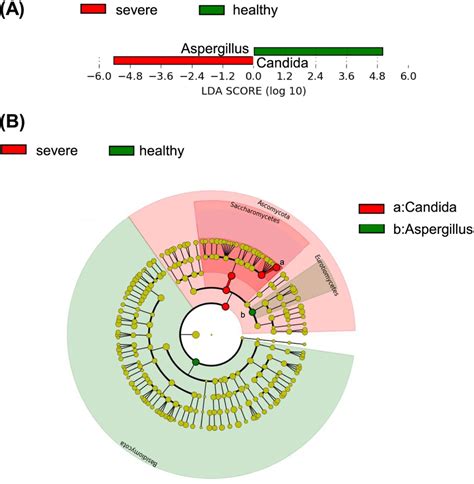 Identifying Fungal Differences By Linear Discriminant Analysis Lda