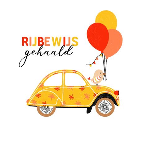 Geslaagd Kaart Rijbewijs Oldtimer Geel Vogel Kaartje Go