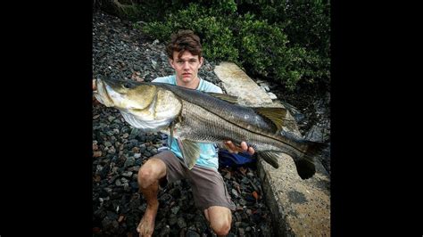 Big Snook Light Tackle Youtube