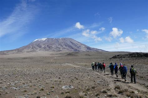 Mt Kilimanjaro Rongai Route Days Trekking Itinerary Trekking