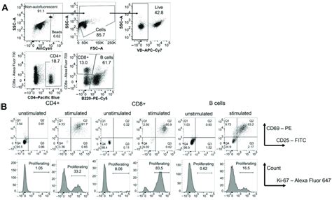 Mouse Splenocytes Were Stimulated With Con A And Cultured For Two Days