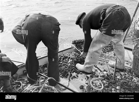 Fischer Bei Der Arbeit Deutsches Reich 1930er Jahre Fishermen At Work