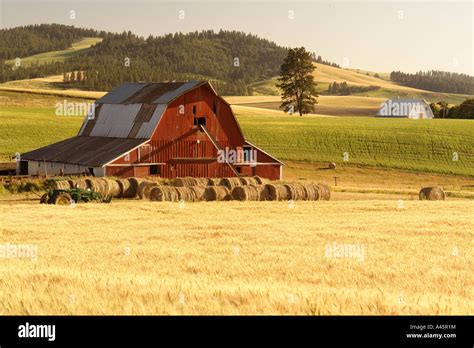 Ajd56237 Moscow Id Idaho The Palouse Rolling Hills Farmland