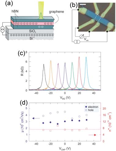 A Illustration Of A BNGrBN Sandwich On A Si SiO2 Substrate To Light