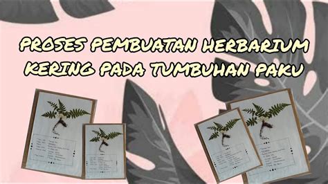 PROSES PEMBUATAN HERBARIUM KERING TUMBUHAN PAKU YouTube