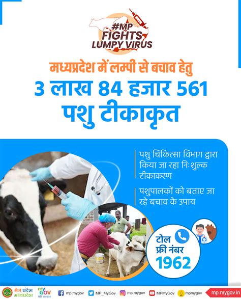 Mp Mygov On Twitter मध्यप्रदेश में लम्पी से बचाव हेतु 3 लाख 84 हजार