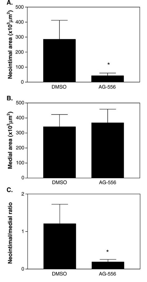 Figure From The Effect Of Tyrphostin Ag On Intimal Thickening In