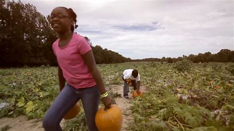 The Pumpkin Patch – Pumpkin Patch Farms