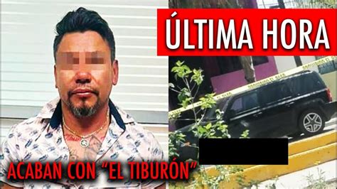 Noticia De Ltima Hora Acaban Con El Tibur N Hombre Que Le Hizo Algo