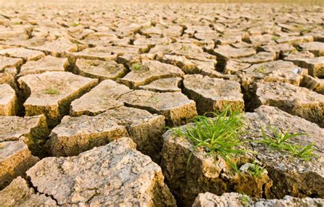 Cambiamento Climatico L Impatto Dell Agricoltura