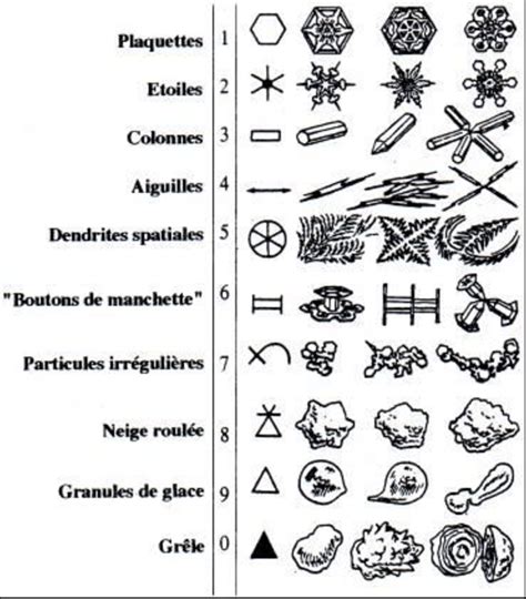 Classification des cristaux de neige fraiche utilisée par l OMM ANENA