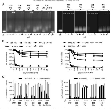 Figure 1 From Structure Activity Relationships Of Sirna Carriers Based