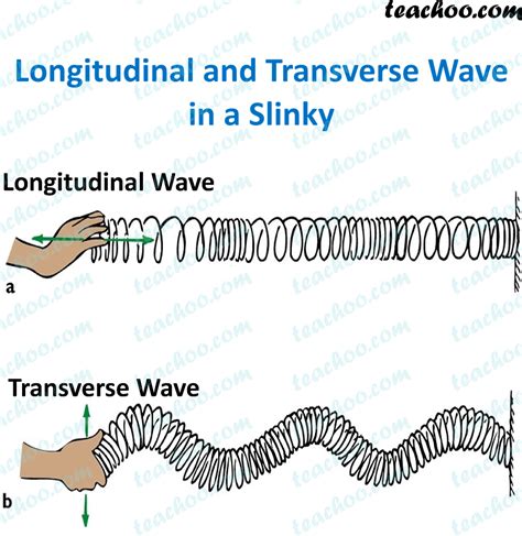 Longitudinal and Transverse Waves - Explanation, Difference - Teachoo