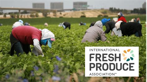 Ifpa Joins Call For Senate Action On Farm Labor Shortage And Rising