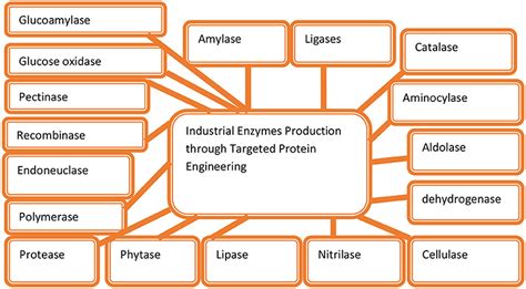 Frontiers Microbial Proteases Applications