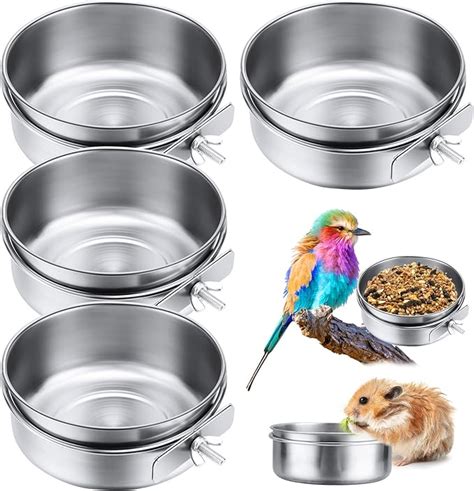 Amazon Packs Stainless Steel Bird Feeding Dish Cups Oz Bird