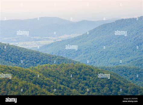 Aerial high angle view of Shenandoah Blue Ridge appalachian mountains, rolling hills from ...