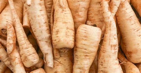 How To Grow Parsnips From Seed At Home 2024 Guide