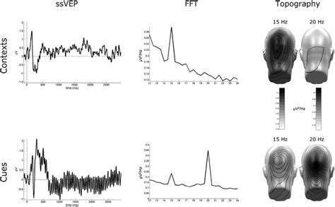 Grand Mean Steady State Visual Evoked Potentials SsVEP Evoked By