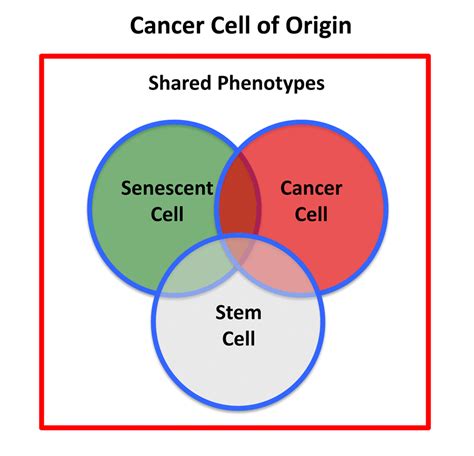 Hallmarks Of The Cancer Cell Of Origin Comparisons With Energetic