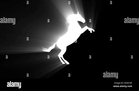 White horse silhouette Stock Videos & Footage - HD and 4K Video Clips ...