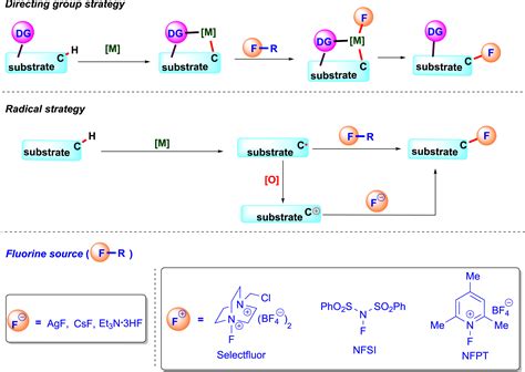 Transition Metal Catalyzed C Sp H Bond Fluorination Reactions Chem