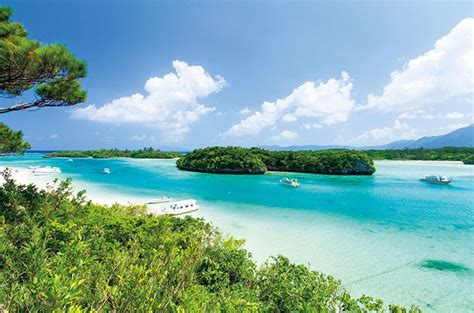 沖縄で出会う感動絶景！真っ青な海に映える、厳選おすすめ8景！ ｜じゃらんニュース