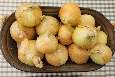 Onions Sweet Walla Walla Sunny Hill Market