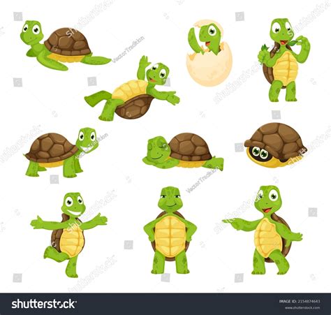 Russian Tortoise Clipart