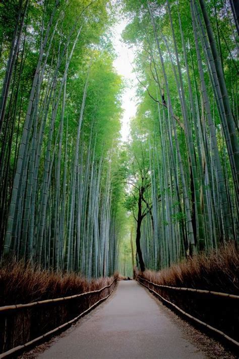 Japan Astounding Places You Must Visit Paisagem Asi Tica Jap O