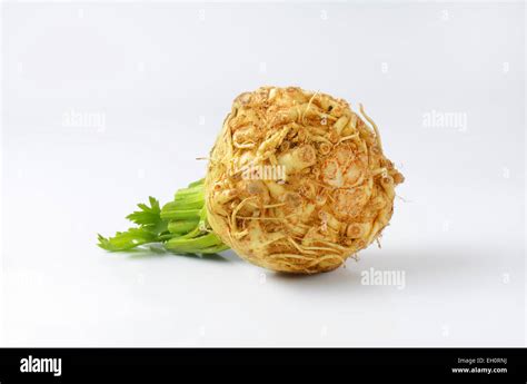 Celeriac Apium Graveolens Rapaceum Hi Res Stock Photography And Images